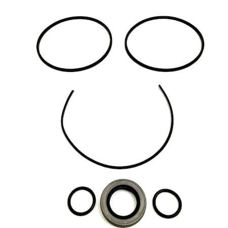 Permco Seal Kit, Hyd Pump, Dump Pump, Direct Mount Dmd-20 And Dmd-25 DM1-DMS